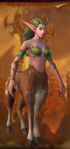 Aerwynn Council