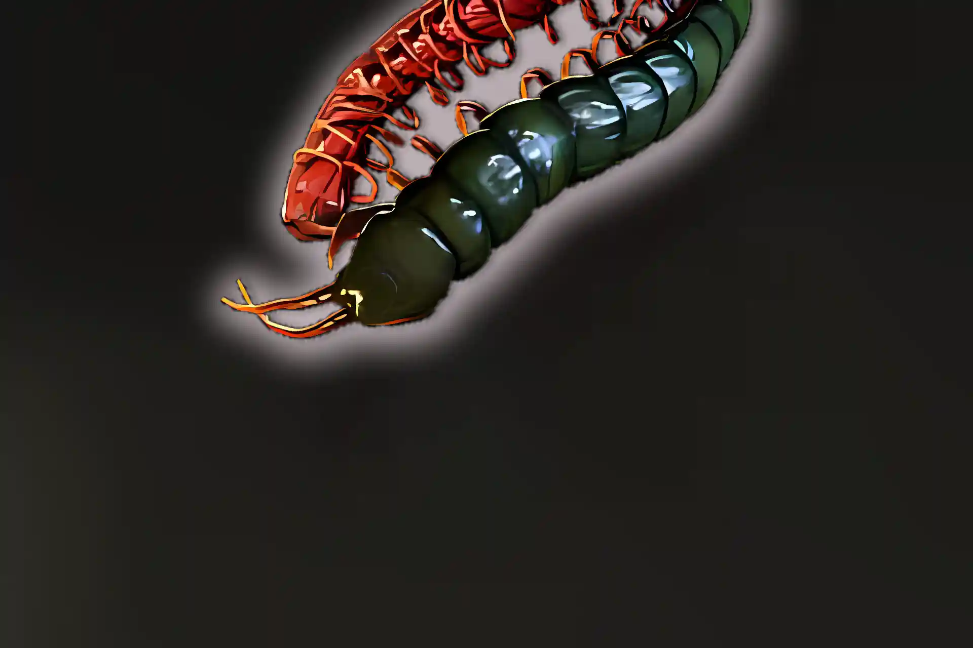 Buy Poe 2 Ryslatha's Coil