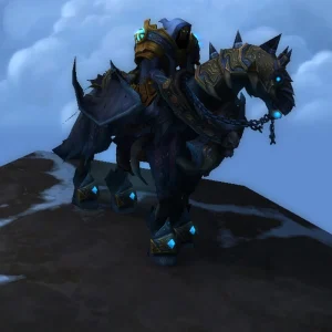 Rogue Account - Rogue Assassination Legion Mage Tower Appearances | Shadowlands Elite PvP Transmog | Rare Mounts and More