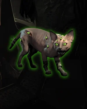 Buy Diablo 4 Iris Pet – exclusive feline companion for Season 8
