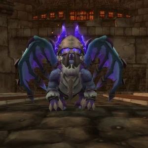 Player mounted on Draconic Gladiator's Drake and wearing a full Elite PvP Set from World of Warcraft"