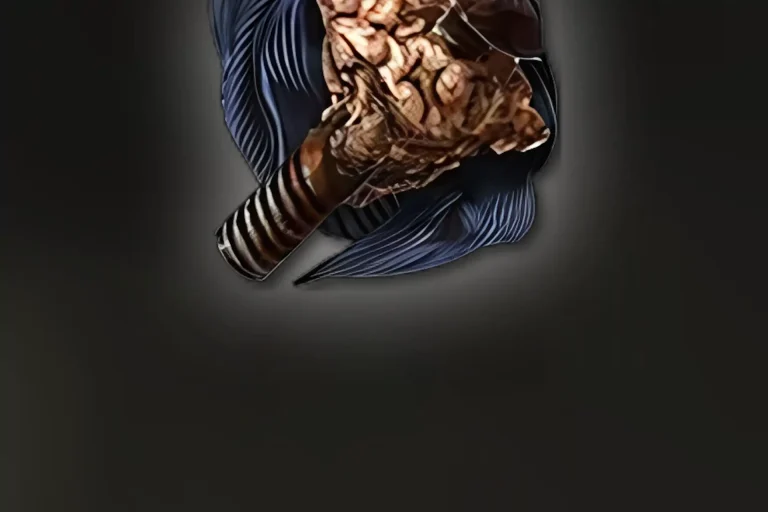 Buy PoE 2 Brutus’s Brain – radiant meat-shield support gem graphic