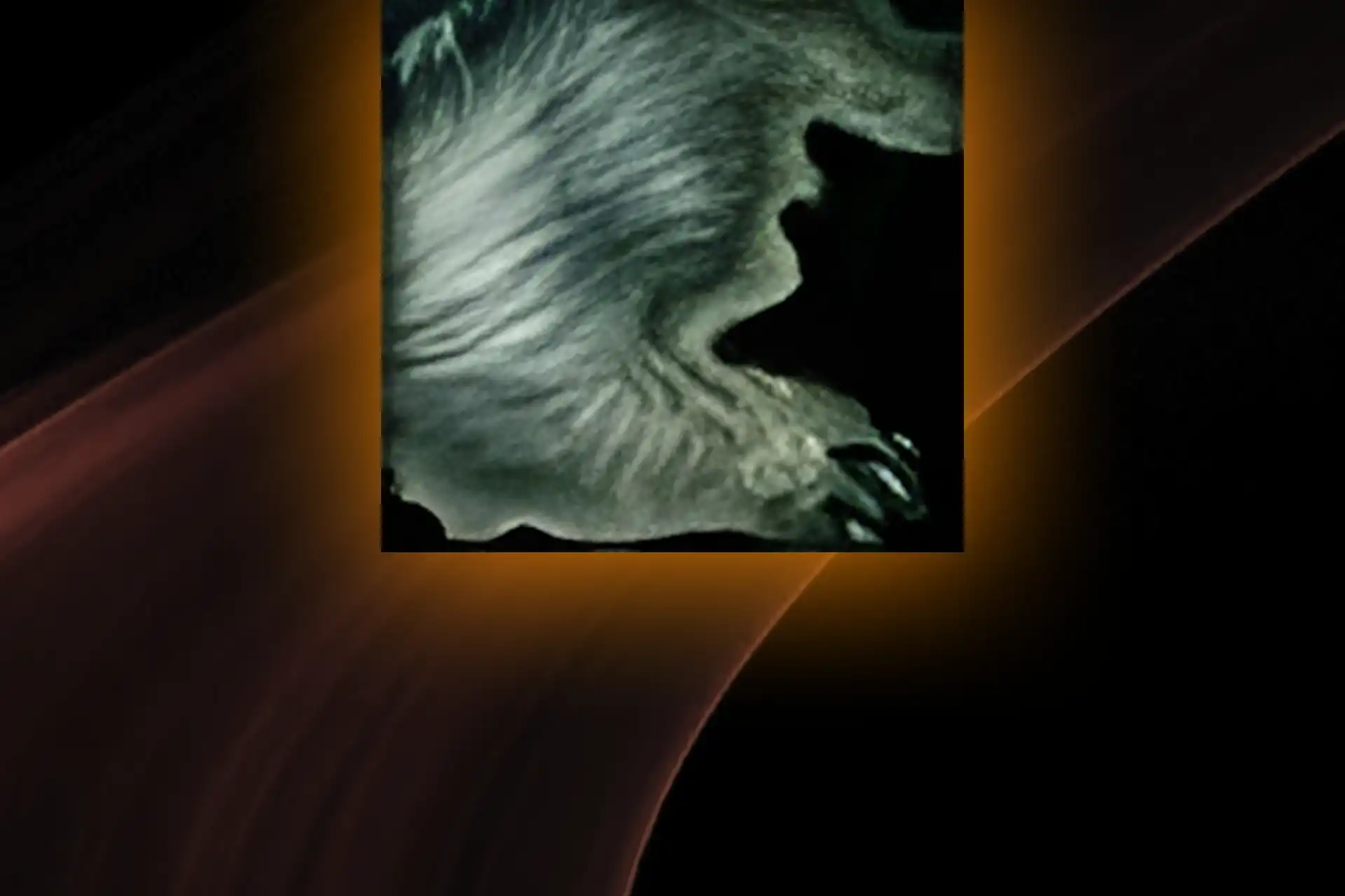 TBC Classic Skinning Boost artwork featuring a skinned hide used for leatherworking materials