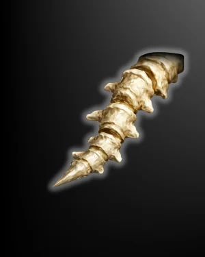 Buy TBC Classic Dragonspine Trophy Boost image showing Arena PvP trinket reward.