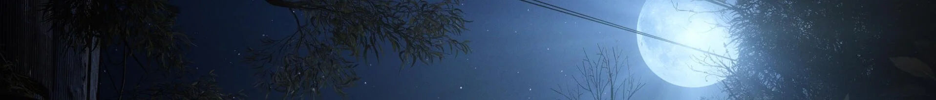 ARC Raiders sci-fi night background with moon and forest scenery