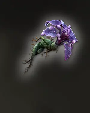 Buy PoE 2 Amor Mandragora