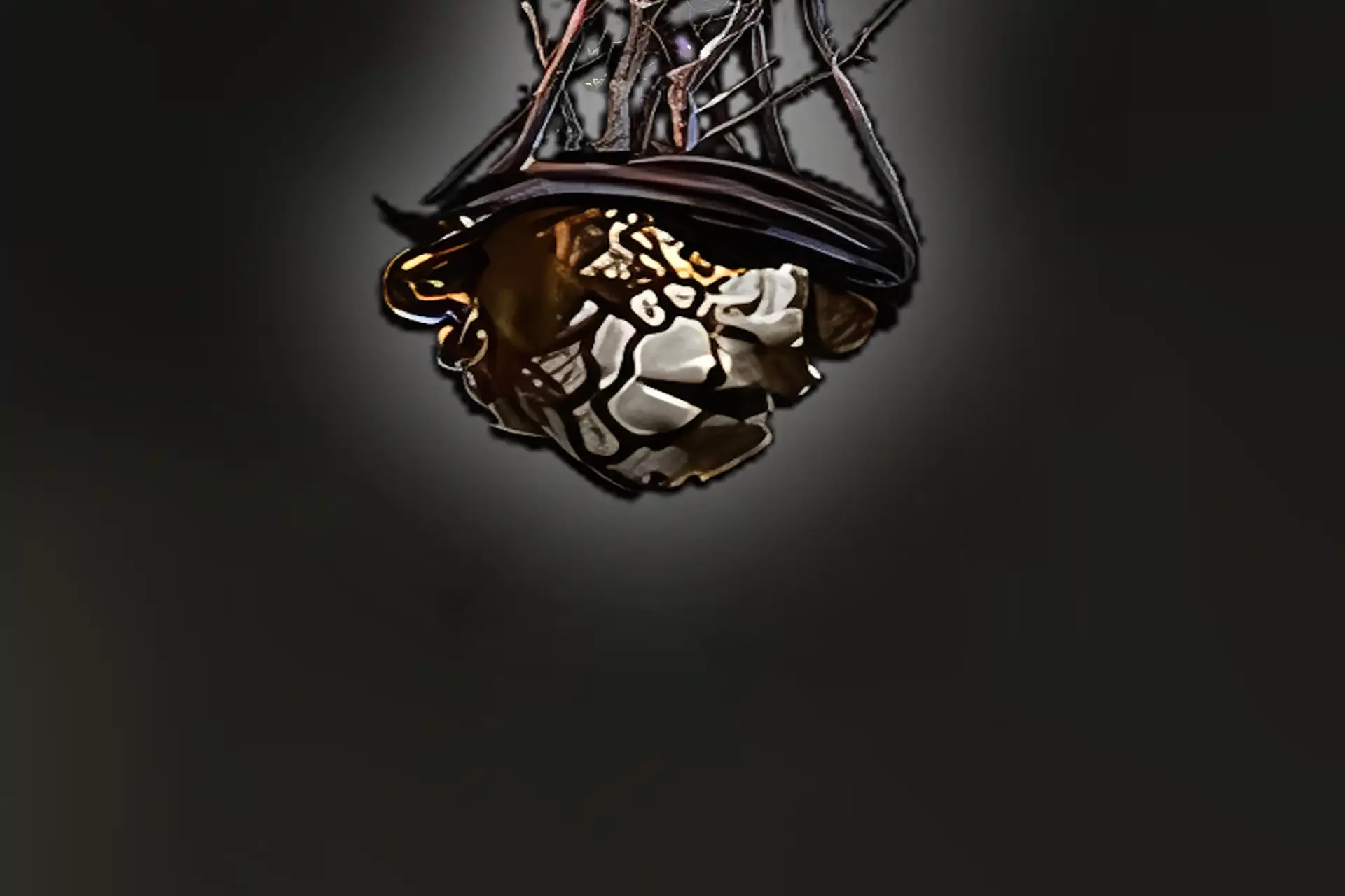 Purchase Omen of the Ancients – PoE 2 Unique Crafting Control Tool
